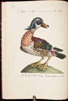 Fine Bird Books, 1700-1900