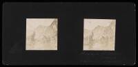 Set of 6 stereocard views of Yosemite taken by a French tourist, circa 1870