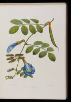 Familiar Indian Flowers