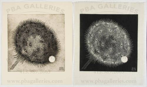 Dandelion - two posthumous proofs