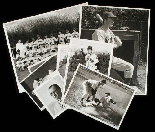 33 photographs of the Santa Rosa Junior College Baseball Team