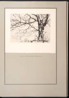 The Graphic Processes: Intaglio, Relief, Planographic With a Set of Actual Prints Illustrative of the Text
