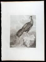 8 Copperplate Engravings of China, etc.