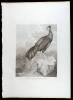 8 Copperplate Engravings of China, etc.