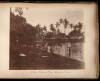 Album with 53 original albumen photographs of India and Ceylon, plus 1 of Japan - 3