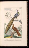 Buffon's Sammtliche Werke. [Birds, Volume 1]