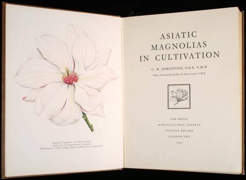 Asiatic Magnolias in Cultivation