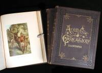 Animate Creation; Popular Edition of ''Our Living World,'' A