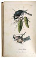 The Birds of America, From Drawings Made in the United States and Their Territories. Volume II.