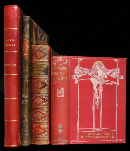 Lot of 4 books illustrated with chromolithographs