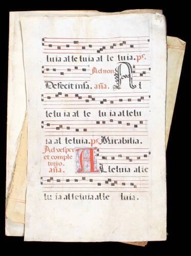 7 vellum leaves from antiphonals