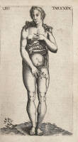 Theatrum Anatomicum