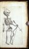 Theatrum Anatomicum - 3