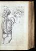 Theatrum Anatomicum - 4