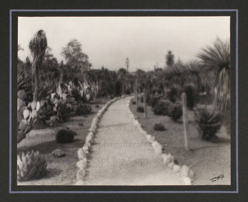 Album containing 31 photographs of the grounds of the Huntington Library