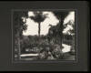 Album containing 31 photographs of the grounds of the Huntington Library - 2