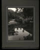 Album containing 31 photographs of the grounds of the Huntington Library - 4