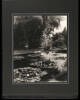 Album containing 31 photographs of the grounds of the Huntington Library - 5