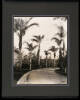 Album containing 31 photographs of the grounds of the Huntington Library - 7