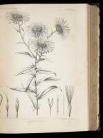 Pacific Railroad Reports 1853-4. Reports of Explorations and Surveys, to Ascertain the most Practicable and Economical Route for a Railroad from the Mississippi River to the Pacific Ocean. Made under the Direction of the Secretary of War, in 1853-4