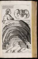 The Natural History of Lancashire, Cheshire, and the Peak, in Derbyshire: with an account of the British, Phoenician, Armenian, Gr. and Rom. Antiquities in Those Parts