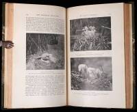 Nature Notes: The Selborne Society's Magazine