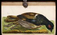 A Naturalist's Calendar, With Observations in Various Branches of Natural History
