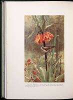 The Natural History & Antiquities of Selbourne
