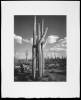 Totem. The Papago Legend of the Creation of the Giant Cactus, called Saguaro, With Twelve Photographic Images - 4