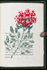 Daisies Never Tell - 3