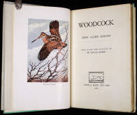 Woodcock
