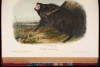 The Quadrupeds of North America - 8