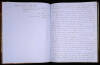 Manuscript Journal of Voyages Made in the Clipper Ship Florence - 2