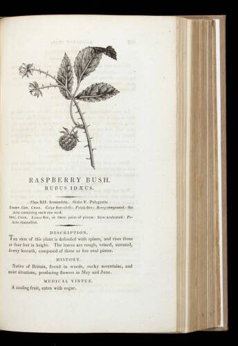 A New Family Herbal: or Popular Account of the Natures and Properties of the Various Plants used in Medicine, Diet, and the Arts