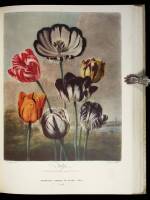 Flower and Fruit Prints of the 18th and early 19th centuries