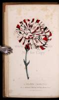 A Practical Treatise on the Culture of the Carnation