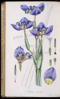 Exotic Flora, Containing Figures and Descriptions of New, Rare or Otherwise Interesting Exotic Plants...