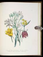 British Wild Flowers