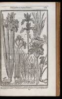 Paradisi in Sole Paradisus Terrestris. Or a Garden of all sorts of pleasant flowers which our English ayre will permitt to be noursed up: with a Kitchin-Garden of all manner of herbes, rootes, & fruites, for meate or sauce used with us, and An Orchard of 