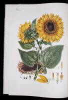 Great Flower Books 1700-1900: A Bibliographical Record of Two Centuries of Finely-Illustrated Flower Books