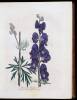 Medical Botany, containing Systematic and General Descriptions, with plates, of all the medicinal plants, indigenous and exotic, comprehended in the catalogues of the materia medica, as published by the Royal Colleges of Physicians of London and Edinburgh - 2