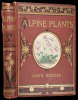 Alpine Plants