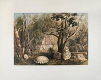 Views of Ancient Monuments in Central America, Chiapas, and Yucatan