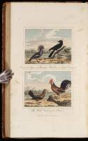 Natural History of Birds, Fish, Insects, and Reptiles