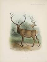 The Deer of All Lands: A History of the Family Cervidæ Living and Extinct