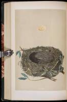 A Natural History of the Nests and Eggs of British Birds