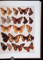 Colored Plates of the Butterflies of the West Coast: Being Actual Photographs, Life-size, and in all Their Natural Colors