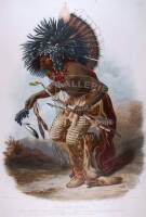 Pehriska-Ruhpa ... M&oelig;nnitarri Warrior in the Costume of the Dog Danse [sic]