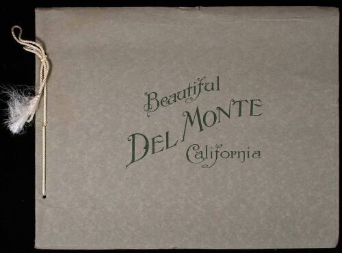 Beautiful Del Monte California