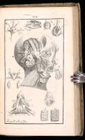 Anatomia Corporis Humani, Jusxta Circulationem Sanguinis...